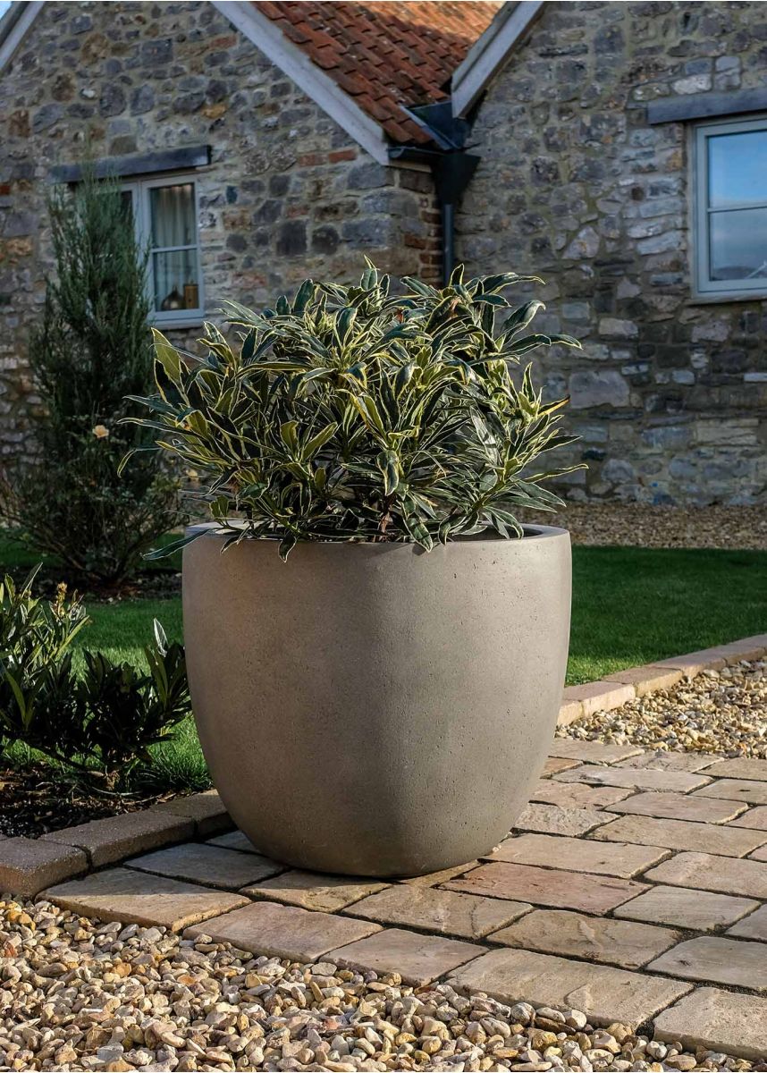 large bowl shaped planter