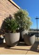 Group of 3 sizes plant pots