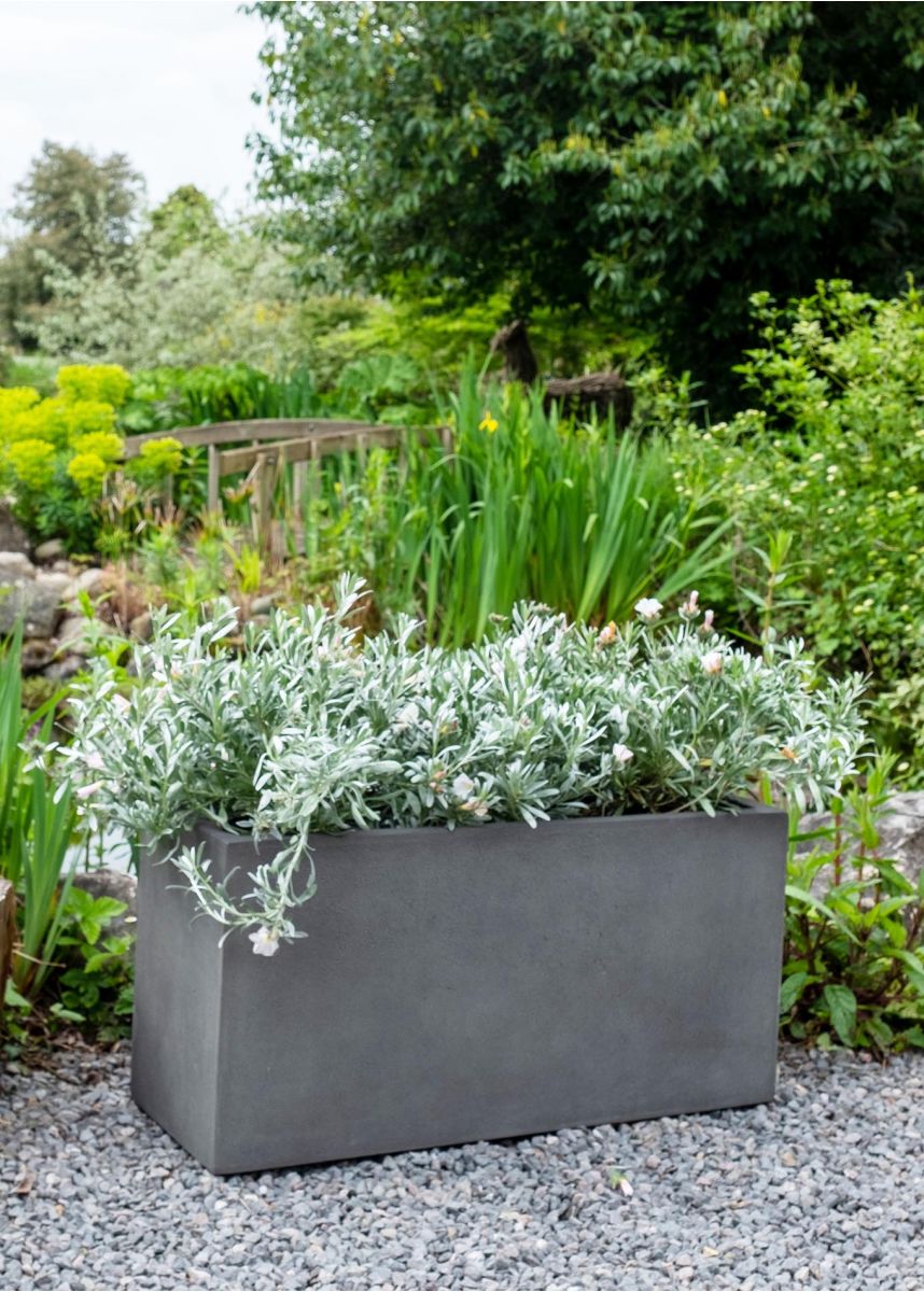 Oblong dark grey planter