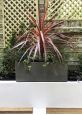 Fibreglass grey window box