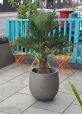 Round outdoor plant pot grey