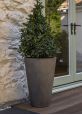 GRP Conical Entrance Plant Pot