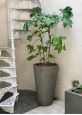 Lightweight tall round garden planter