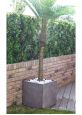 Large square tree container