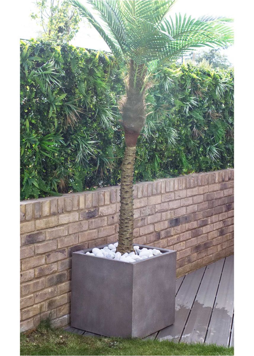 Large square tree container