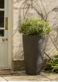 Black Brown Conical Planters