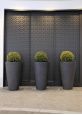 Tall round dark grey plant container
