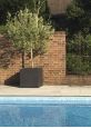 Large square fibreglass planter box