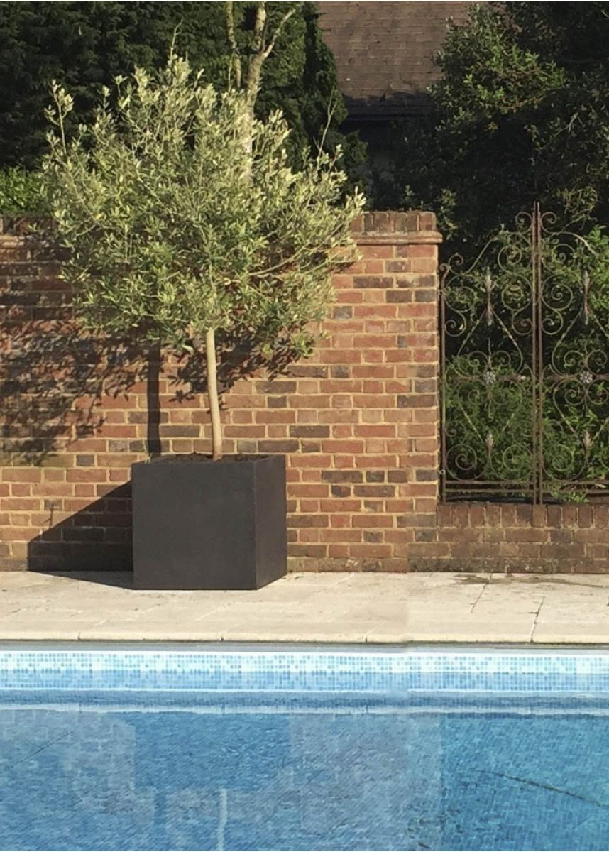 Large square fibreglass planter box