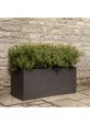 plant container for hedging
