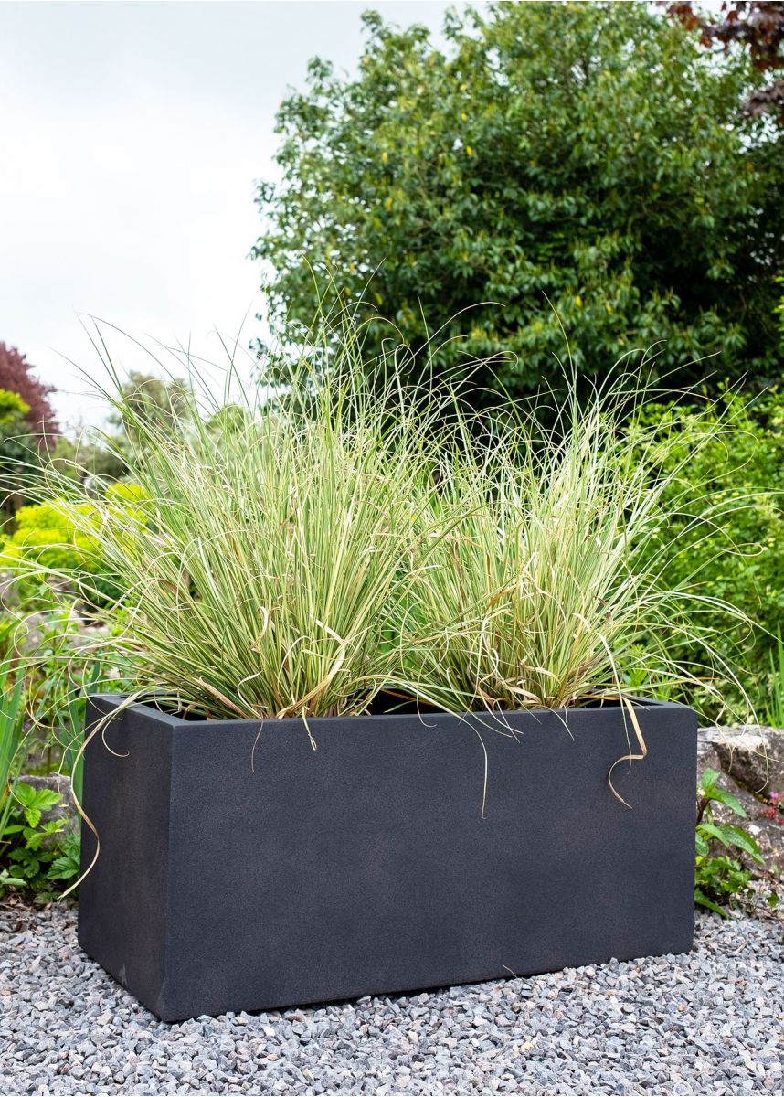 Dark grey oblong plant container