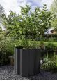 Planter for large shrubs