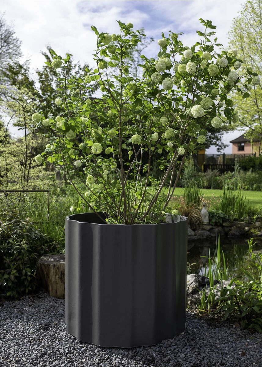 Planter for large shrubs