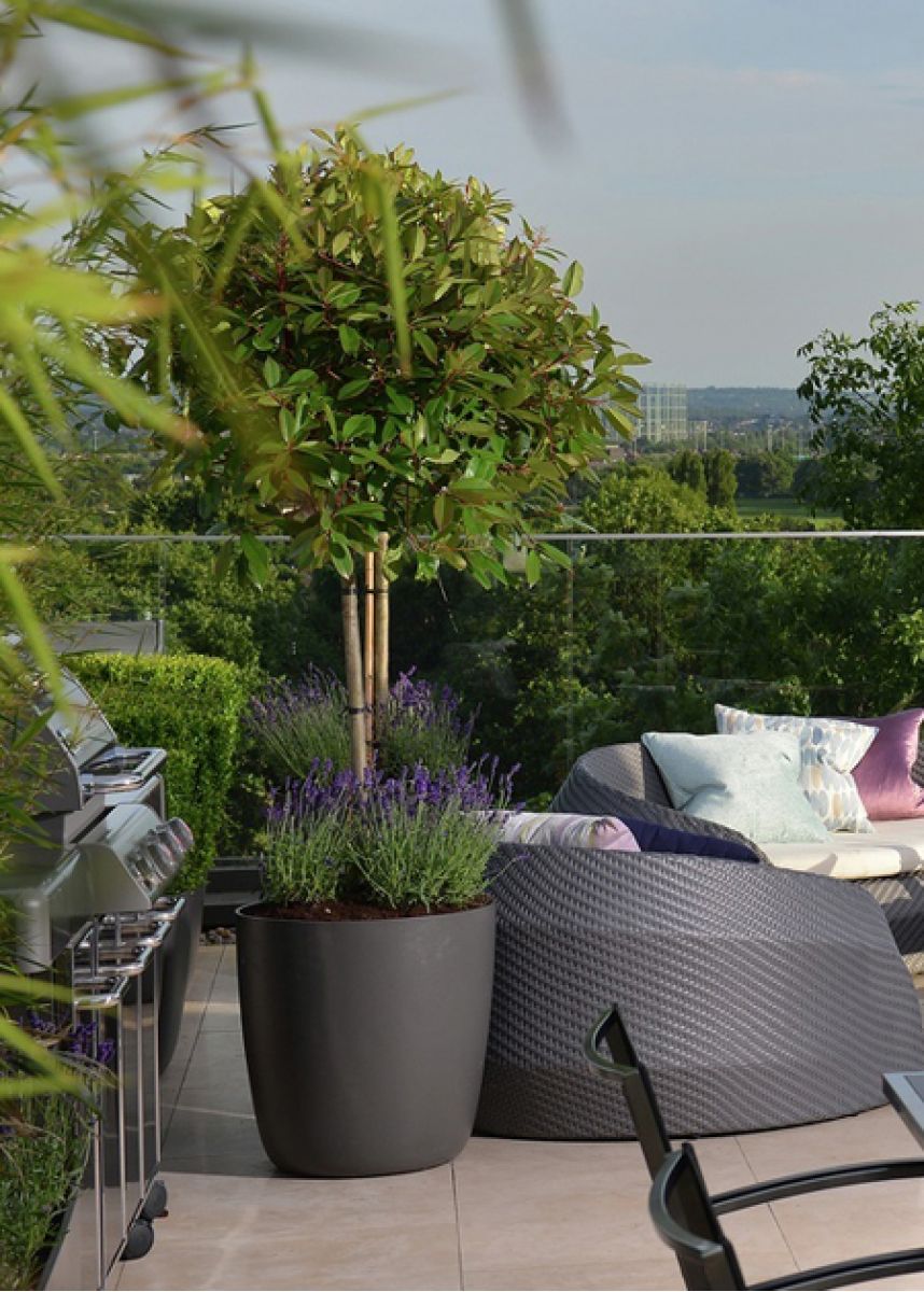 Designer round plant pots