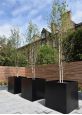 Black Powder Coated Steel Tree Planters