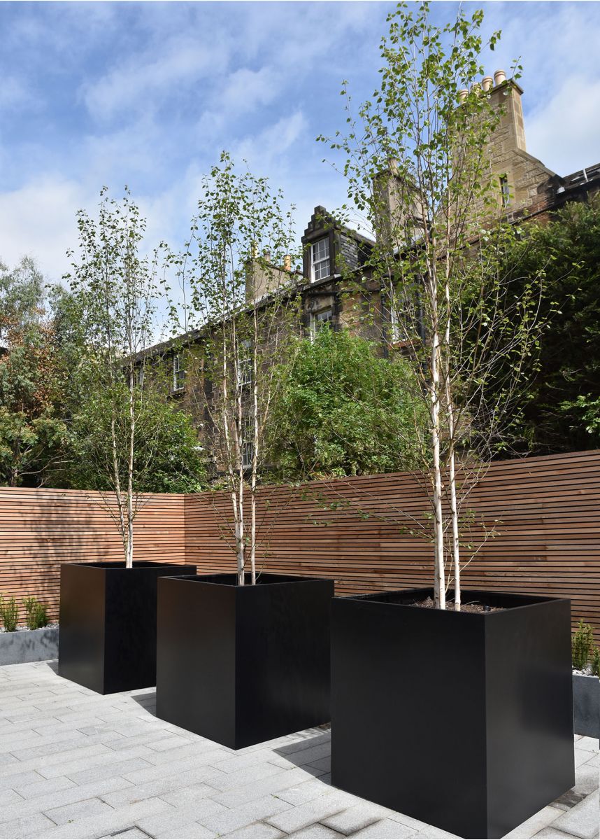 Black Powder Coated Steel Tree Planters