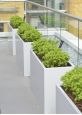 White powder coated steel planters