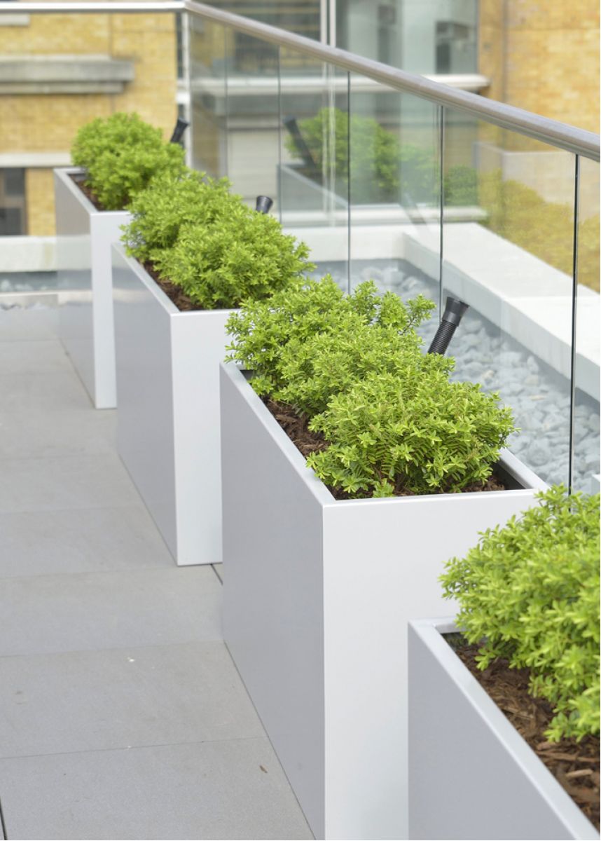 White powder coated steel planters