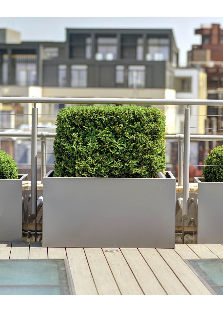 Low square outdoor steel planters