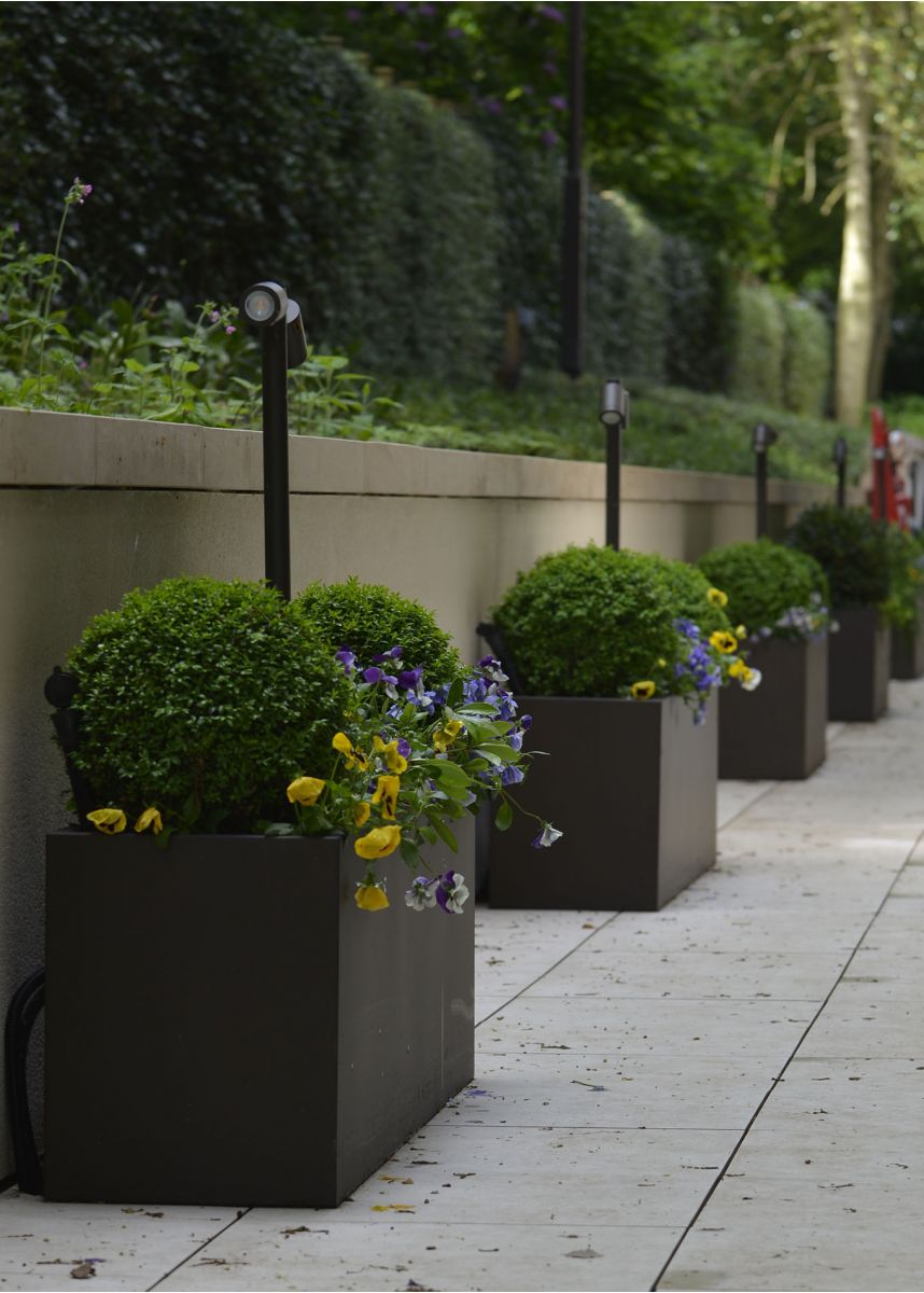 Modern steel trough planters