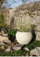 Limestone coloured planter pot