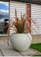 Extra large white stone plant pot