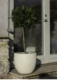White limestone garden plant pot