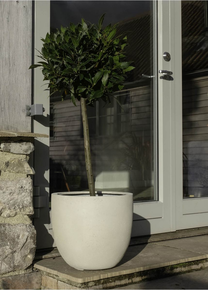 White limestone garden plant pot