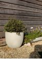 White limestone garden plant pot