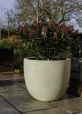 Large antique white planter pot