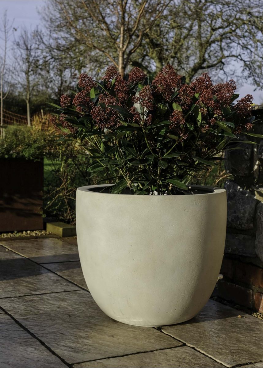 Large antique white planter pot