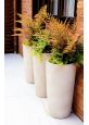 Ivory colour tall slim plant container