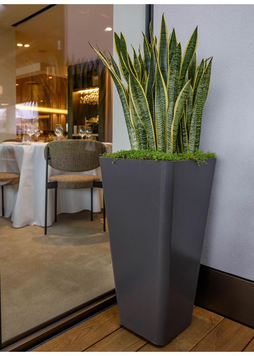 Tall container for houseplants