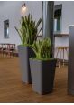 Large indoor plant containers
