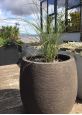 rustic look garden pot