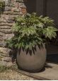 55cm Tall Savanne Planter Pots