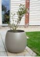 Round bellied outdoor pot