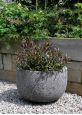 45cm Diameter Low U shaped planter