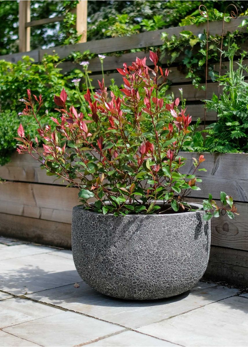 Short 55cm wide planter pot