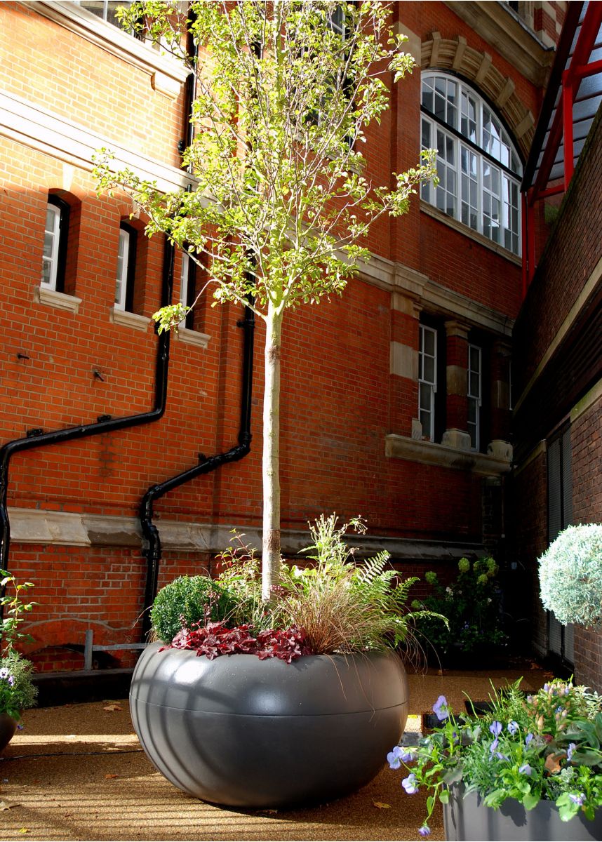 Huge round tree planters in FRC