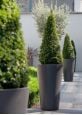 Anthracite tall round plant pots