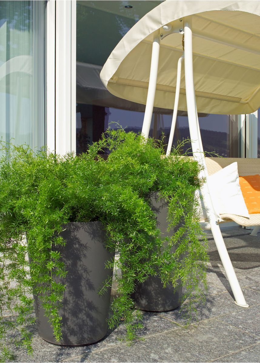 Alto fibre reinforced cement planters