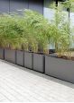 Square 60cm garden planters