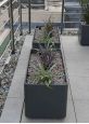 light trough planter for roof terrace