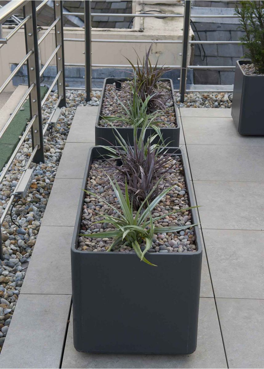 light trough planter for roof terrace