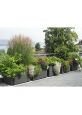 Delta 60cm tall garden trough planters