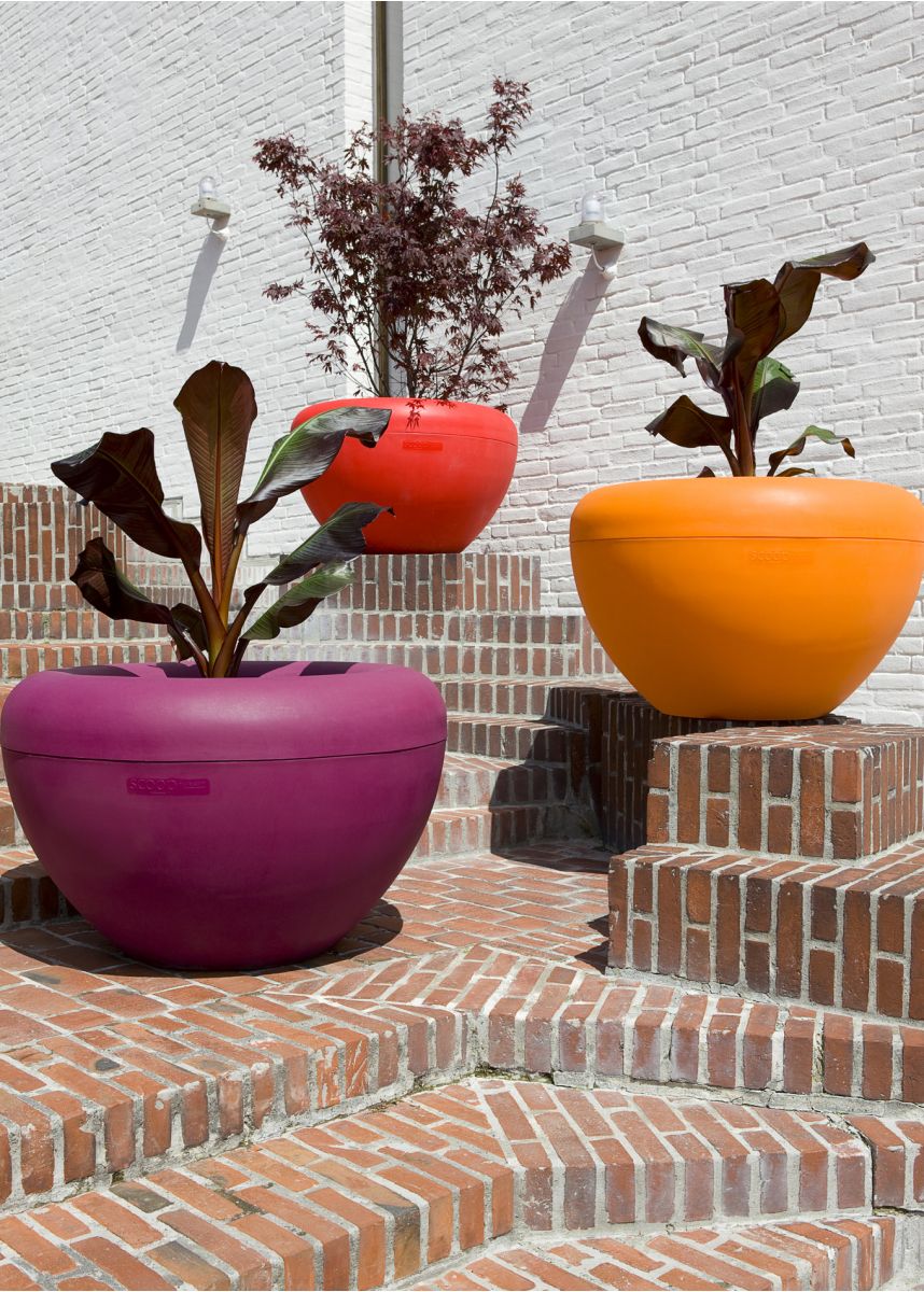 Purple Red and Orange tree planters