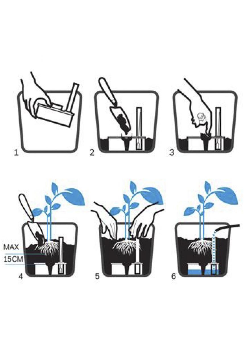 how to use a plant watering tank