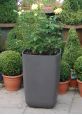 Samurai tall squared planters