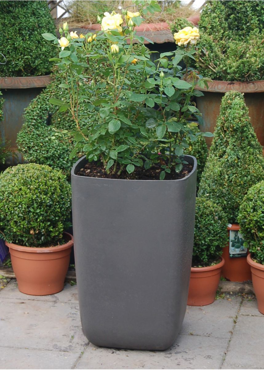 Samurai tall squared planters